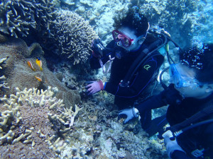 沖縄　ダイビング　慶良間　体験ダイビング