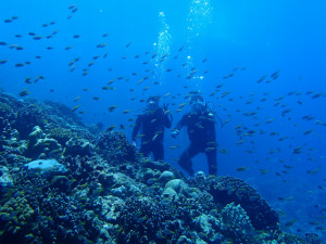 沖縄　ダイビング　慶良間　体験ダイビング