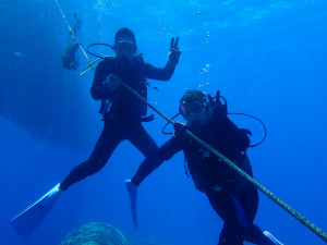 沖縄　ダイビング　慶良間　体験ダイビング