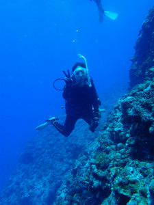 沖縄　ダイビング　慶良間　FUNダイビング