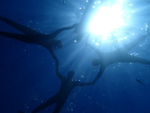 沖縄　ダイビング　慶良間　FUNダイビング　体験ダイビング