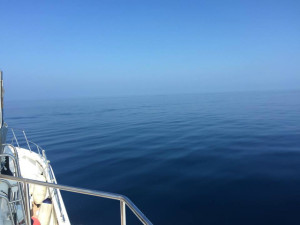 沖縄　体験ダイビング　べた凪