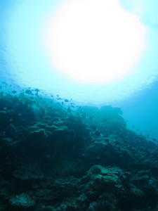 沖縄　ダイビング　ドリフト