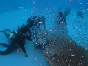 沖縄　慶良間　ダイビング　体験ダイビング