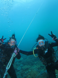 沖縄　ダイビング　砂辺　体験ダイビング