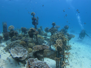 沖縄　ダイビング　OWD講習　FUNダイビング