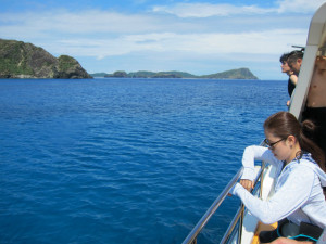 慶良間　体験ダイビング