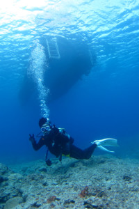沖縄　ダイビング　慶良間　体験ダイビング　FUNダイビング