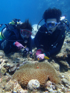 沖縄　ダイビング　慶良間　体験ダイビング