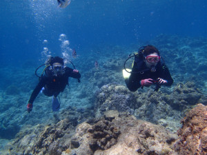 沖縄　ダイビング　慶良間　体験ダイビング
