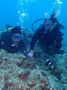 沖縄　ダイビング　体験ダイビング