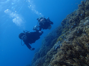 沖縄　ダイビング　砂辺　体験ダイビング