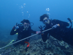 沖縄　ダイビング　砂辺　体験ダイビング