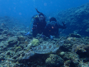 沖縄　体験ダイビング