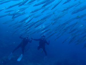 沖縄　ダイビング　OWD講習　FUNダイビング