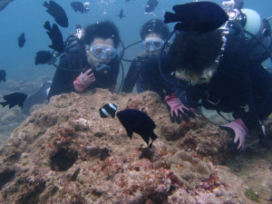 沖縄　ダイビング　砂辺　体験ダイビング