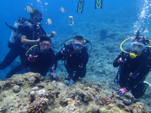 沖縄 体験ダイビング