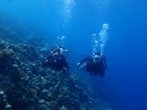 沖縄 ダイビング 真栄田岬