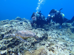 沖縄　体験ダイビング