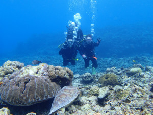 沖縄　体験ダイビング