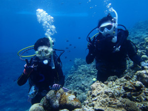 沖縄　体験ダイビング