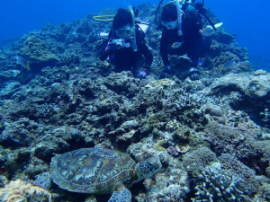沖縄　体験ダイビング