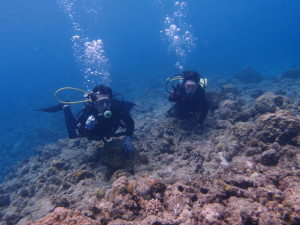 沖縄　ダイビング　慶良間　体験ダイビング