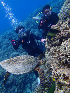 沖縄　ダイビング　慶良間　体験ダイビング