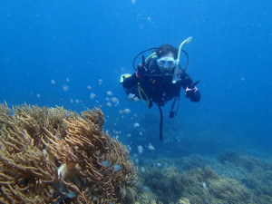 沖縄　ダイビング　OWD講習