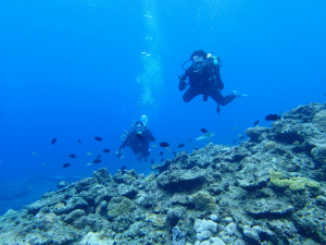 沖縄　ダイビング　慶良間　体験ダイビング