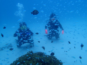 沖縄　ダイビング　慶良間