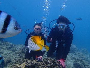 沖縄　ダイビング　慶良間　体験ダイビング