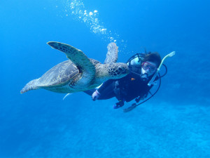 沖縄　ダイビング　慶良間　体験ダイビング　FUNダイビング