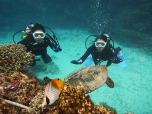 沖縄　ダイビング　慶良間　体験ダイビング
