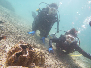 沖縄 体験ダイビング