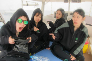 沖縄　体験ダイビング　慶良間