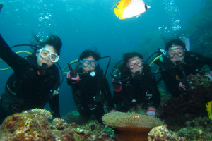 沖縄　体験ダイビング　慶良間