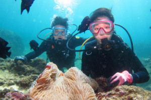 沖縄　体験ダイビング