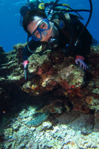 沖縄　ダイビング　慶良間