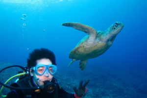沖縄　ダイビング　慶良間　体験ダイビング　講習