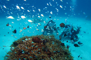 沖縄　体験ダイビング　慶良間