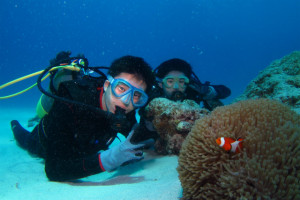 沖縄　体験ダイビング　慶良間