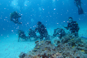 沖縄　ダイビング