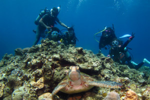 沖縄　ダイビング　慶良間　体験ダイビング　FUNダイビング