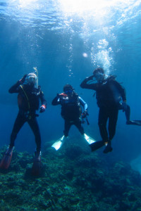 慶良間　体験ダイビング