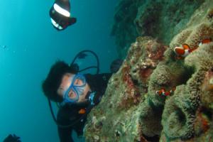 沖縄　体験ダイビング　砂辺