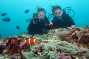 沖縄　ダイビング　砂辺　体験ダイビング