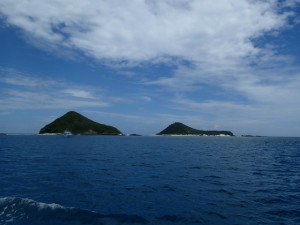 沖縄　ダイビング　慶良間　体験ダイビング