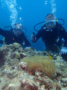 沖縄　ダイビング　慶良間　体験ダイビング