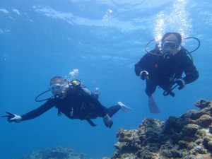 沖縄　ダイビング　慶良間　体験ダイビング